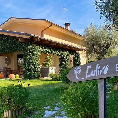 L' Ulivo Bed&Breakfast-3